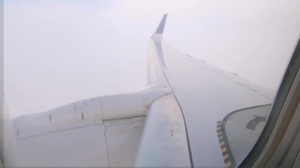 Blick Aus Dem Passagierflugzeug — Stockvideo