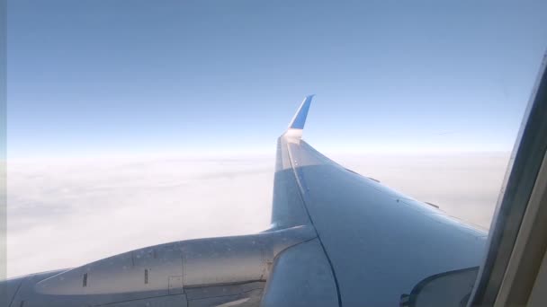 Blick Aus Dem Passagierflugzeug — Stockvideo