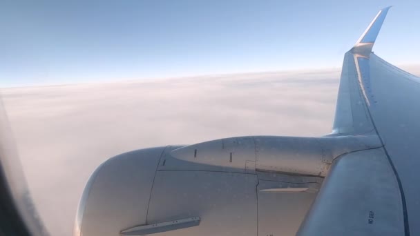 Uitzicht Vanaf Commerciële Passagiers Vliegtuig — Stockvideo