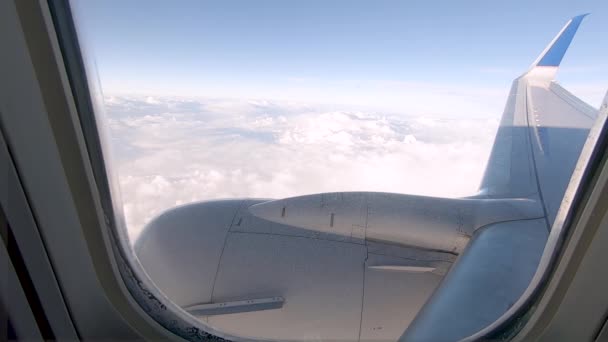 Blick Aus Dem Passagierflugzeug — Stockvideo