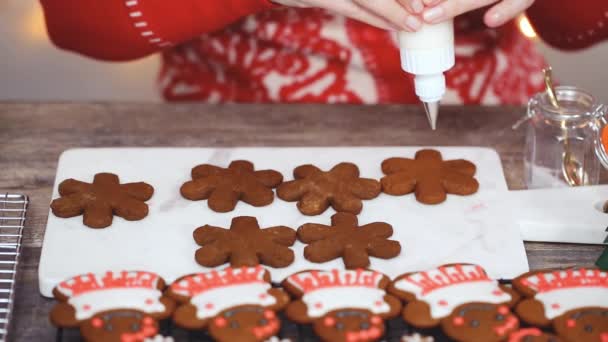 Schritt Für Schritt Lebkuchen Mit Königlichem Zuckerguss Verzieren — Stockvideo