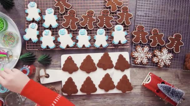 Step Step Flat Lay Decorating Gingerbread Cookies Royal Icing — Stock Video