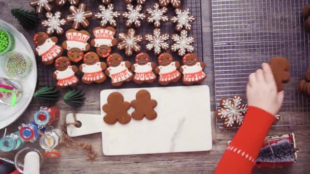 Stap Voor Stap Flat Lag Gingerbread Koekjes Met Royal Icing — Stockvideo