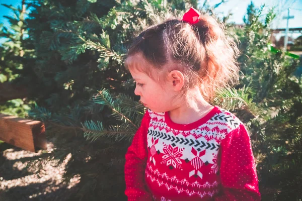 Menina Vestido Vermelho Fazenda Árvore Natal — Fotografia de Stock