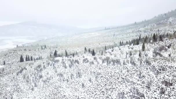 Vista Aérea Las Montañas Invierno — Vídeos de Stock