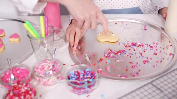 Steg För Steg Dekorerar Sugar Cookies Med Royal Glasyr Och — Stockvideo