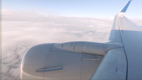 Vue Depuis Avion Commercial Passagers — Video