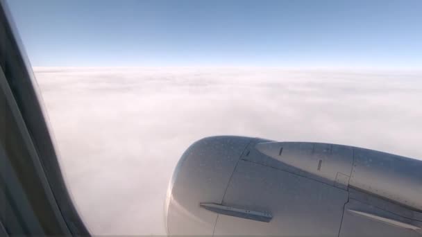 Вид Коммерческого Пассажирского Самолета — стоковое видео