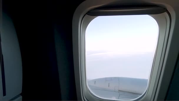 Blick Aus Dem Passagierflugzeug — Stockvideo