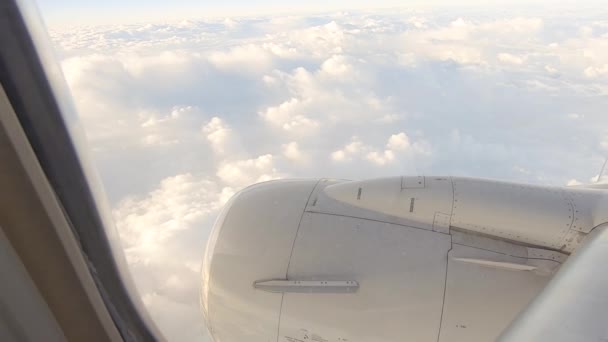 Θέα Από Αεροπλάνο Επιβατών — Αρχείο Βίντεο