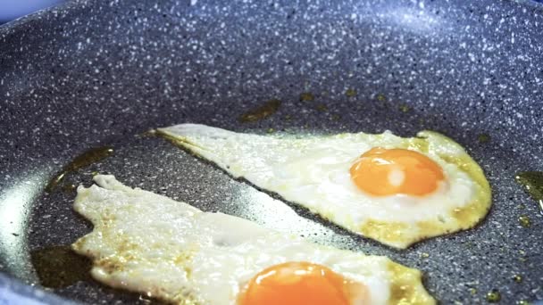 フライパンにオリーブ オイル 有機卵を揚げる — ストック動画