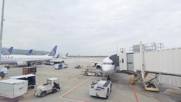 Houston Texas Stany Zjednoczone Ameryki Styczeń 2019 Samoloty Pasażerskie Zaparkowany — Wideo stockowe
