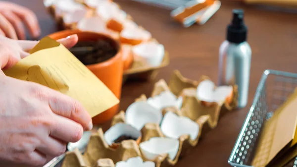 Planting seeds — Stock Photo, Image