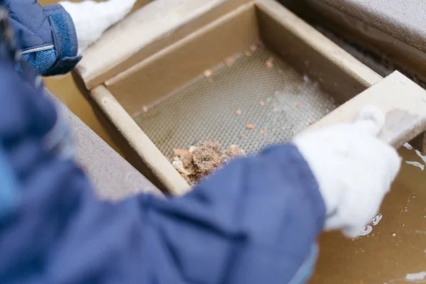 Gold panning — Stock Photo, Image