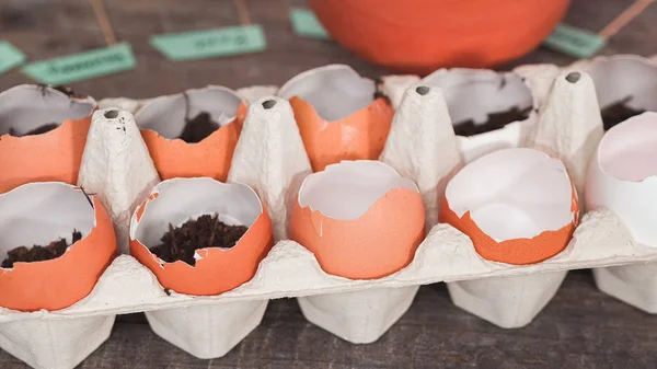 Planting seeds — Stock Photo, Image