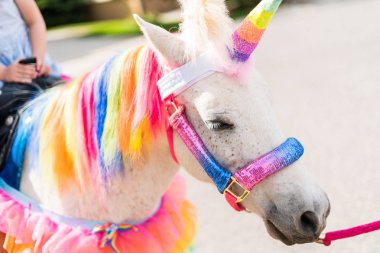 Unicorn Doğum Günü Partisi