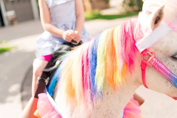 Fête d'anniversaire de la licorne — Photo