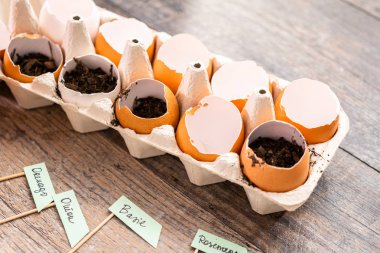 Organik tohum başlangıç kapları