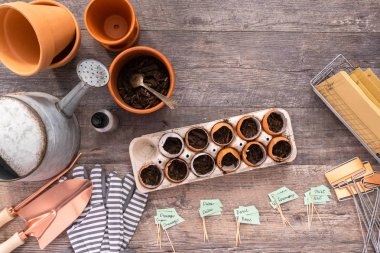 Organik tohum başlangıç kapları