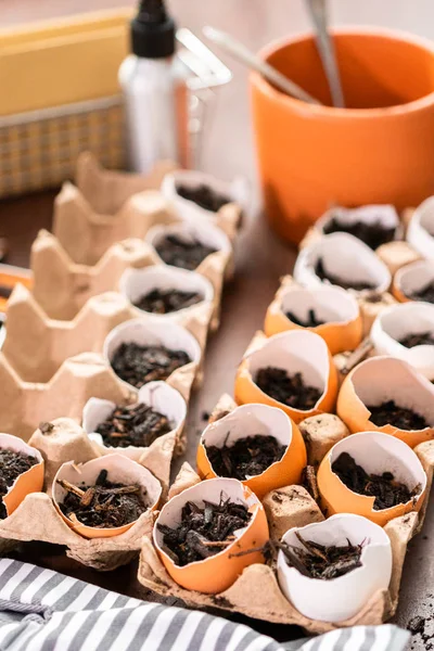 Planting seeds — Stock Photo, Image