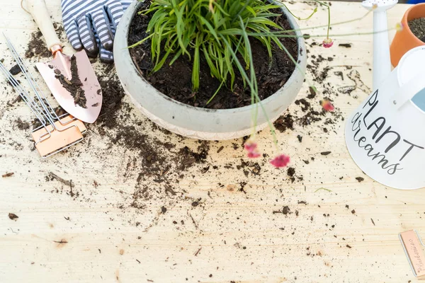 Gartenarbeit — Stockfoto