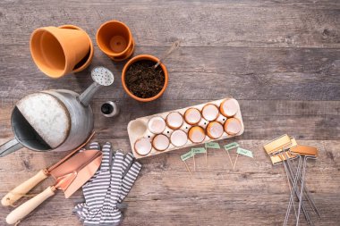 Organik tohum başlangıç kapları