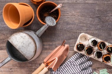 Organik tohum başlangıç kapları