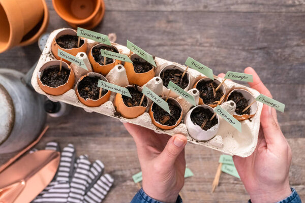 Organic seed starter pots