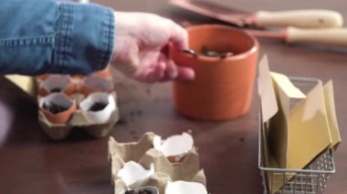 Yumurta kabuklarındaki tohumları küçük bitki etiketleriyle etiketler..