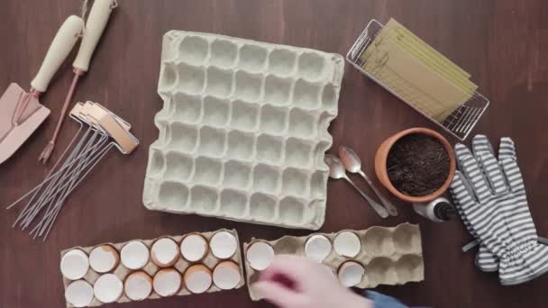 Plantings Seeds Eggshells Labeling Them Small Plant Tags — Stock Video