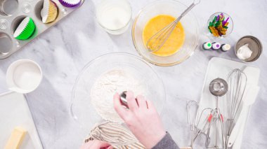 Düz yatıyordu. Adım adım. Vanilyalı Mardi Gras keki yapmak için karışımı karıştırıyorum..