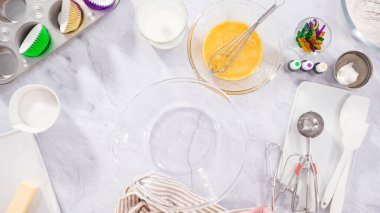 Düz yatıyordu. Adım adım. Vanilyalı Mardi Gras keki yapmak için karışımı karıştırıyorum..