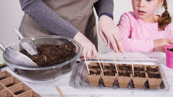 Bambina Che Aiuta Piantare Semi Erbe Piccoli Contenitori Progetto Homeschool — Foto Stock