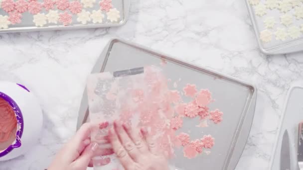 制造粉红色和白色的爱抚雪片 — 图库视频影像