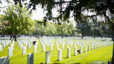 Denver, Colorado, ABD-26 Mayıs 2019 - Sonsuz sayıda beyaz mermer mezar taşı