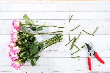 Düz yatıyordu. Boyanmış beyaz ahşap arka planı olan pembe güller..