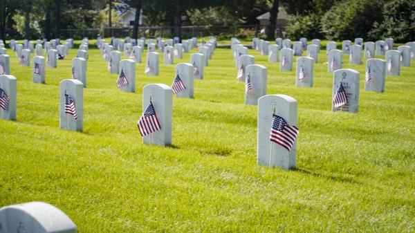 Denver Colorado Estados Unidos Mayo 2019 Pequeñas Banderas Americanas Junto —  Fotos de Stock