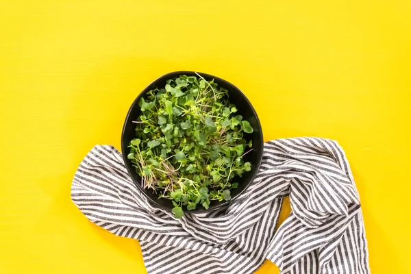 Flat Lay Freshly Harvested Radish Microgreens Bowl — Stock Photo, Image