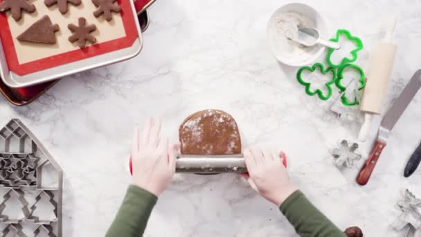 Making Gingerbread Cookies Home — Stock Video