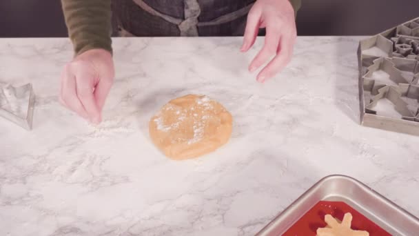 在家做姜饼饼干 — 图库视频影像