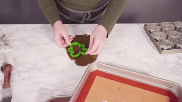 ジンジャーブレッドクッキーを自宅で作る — ストック動画