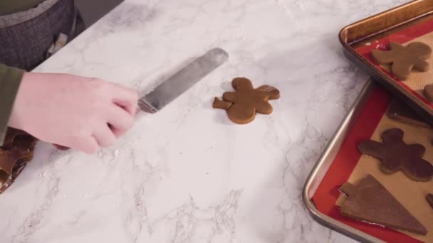 Hacer Galletas Jengibre Casa — Vídeos de Stock