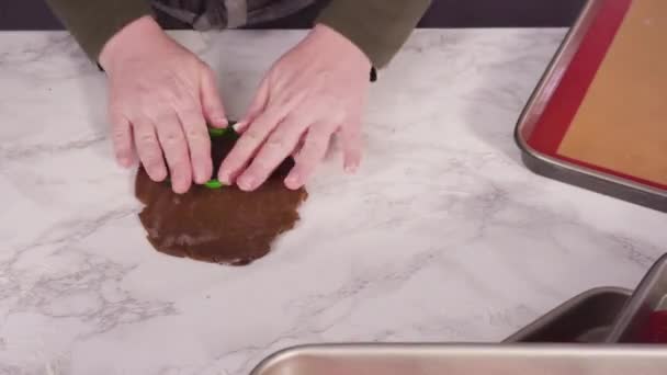 Hacer Galletas Jengibre Casa — Vídeos de Stock