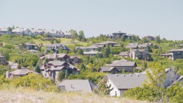 Summer View Upscale Residential Neighborhood Suburbs — Stock Video