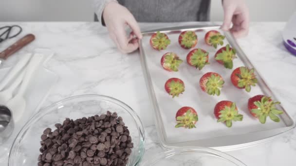 Beredning Vita Och Mörka Chokladdoppade Jordgubbar — Stockvideo