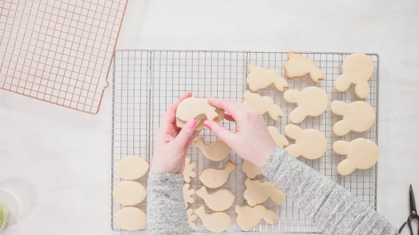 Paso Paso Acostado Decoración Galletas Azúcar Pascua Con Hielo Rotal — Foto de Stock