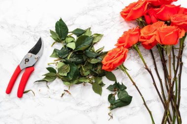 Düz yatıyordu. Çiçek buketleri düzenlemek için küçük makasla kırmızı güller buduyor..