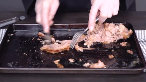 Préparation Sandwichs Porc Effiloché Avec Salade Chou — Video