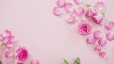 Pembe güller ve pembe arka planda gül yaprakları.