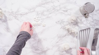 Düz yatıyordu. Adım adım. Mermer tezgahın üzerindeki beyaz fondanla kar tanelerini keserek..